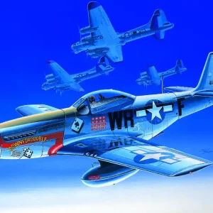 Academy - 12485 - P-51D 1 72 Must-Have