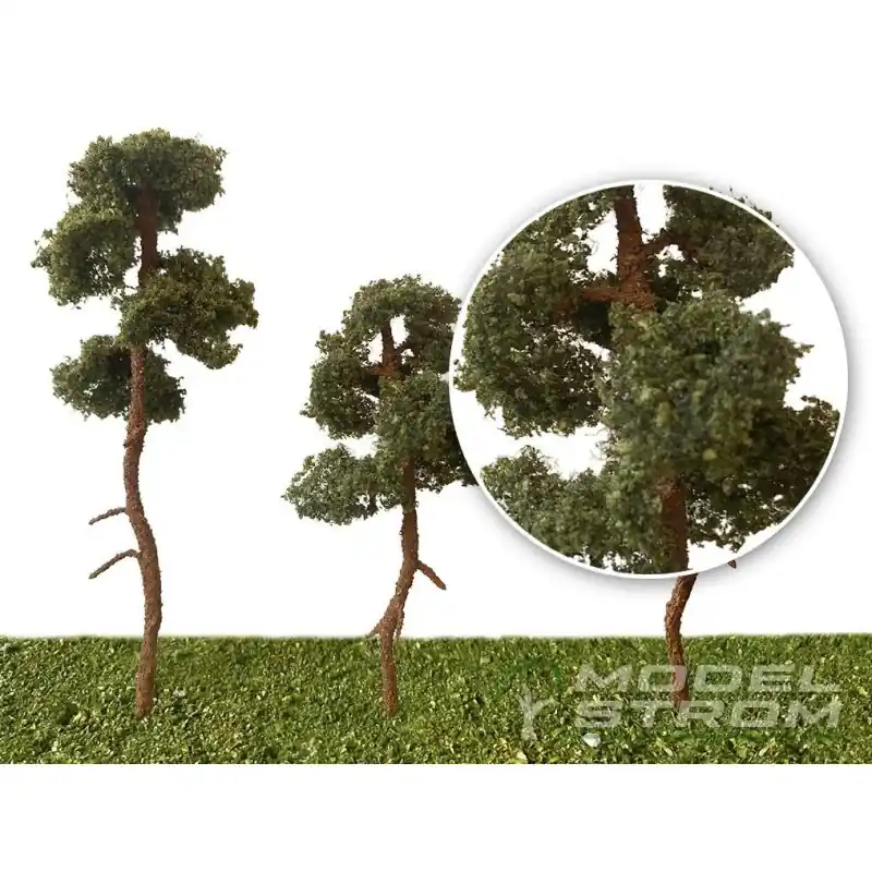 Borovice, výška 15 cm, Modelstrom BOROVICE/15 Rychlé Dodání