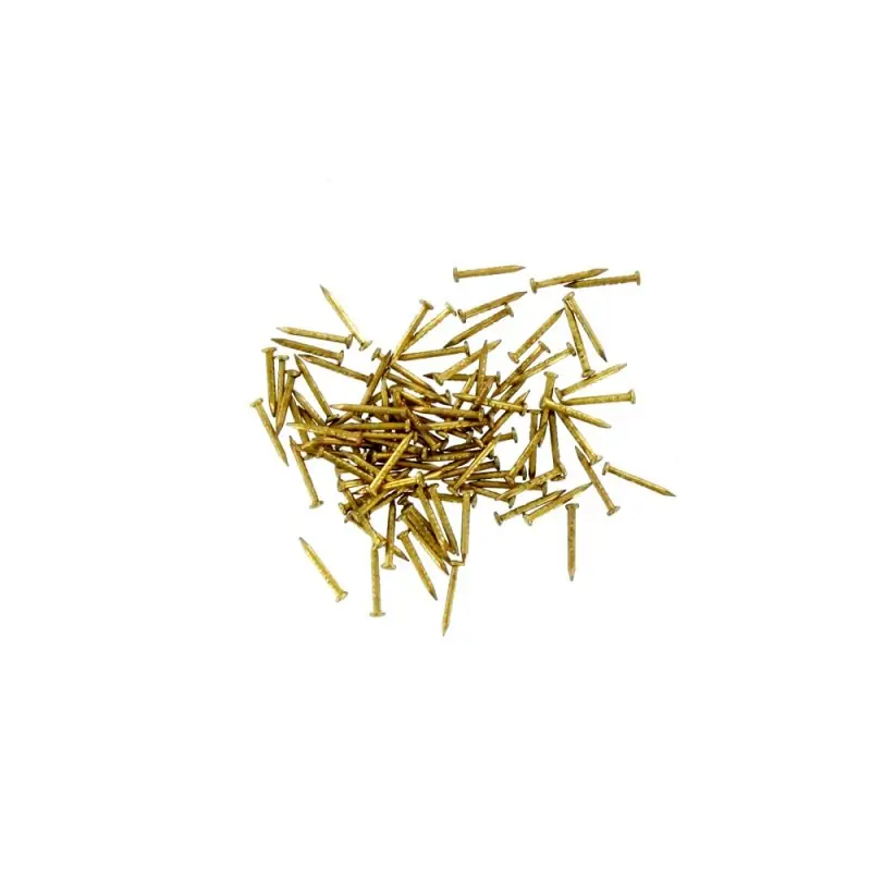 Koupit Online Hřebíčky mosazné 10 mm dlouhé, 100 ks, Modelcraft PPU8174PG