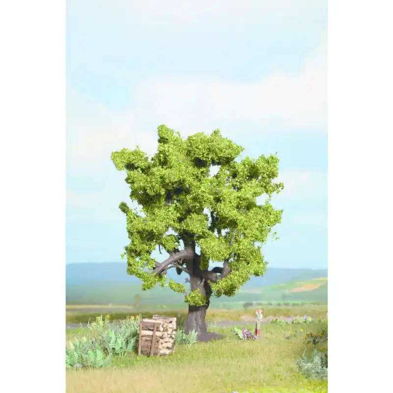 Dub, 16 cm, Noch 21760 Cenově Výhodný