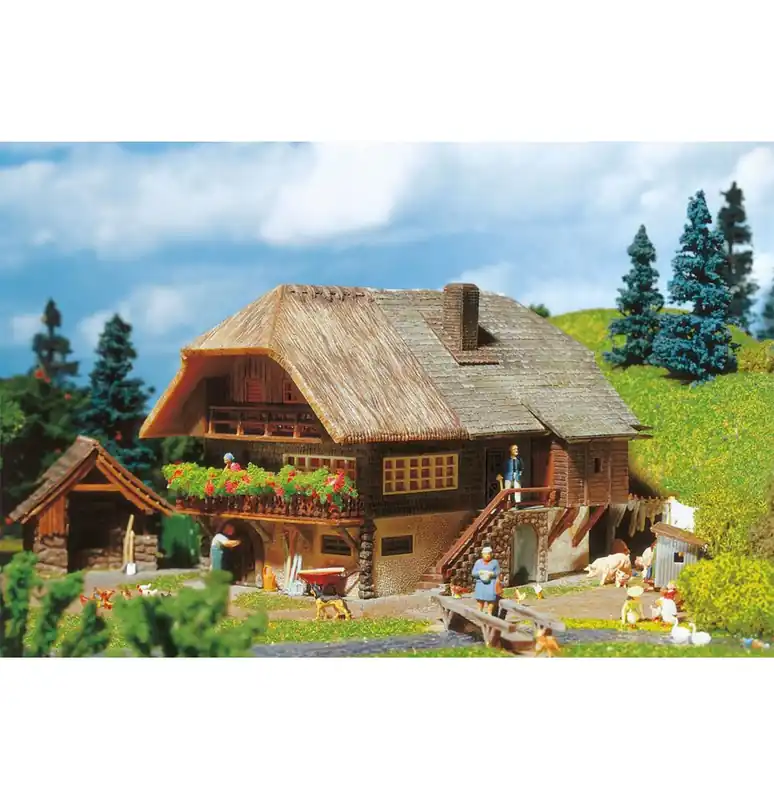 Rychlé Dodání Statek Schwarzwald
