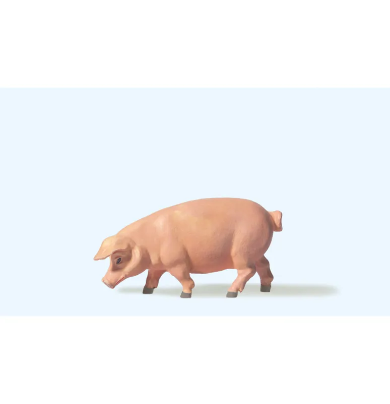Prase Vrácení Zdarma