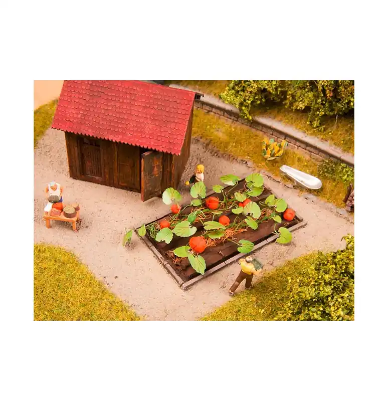Ihned K Objednání Dýně