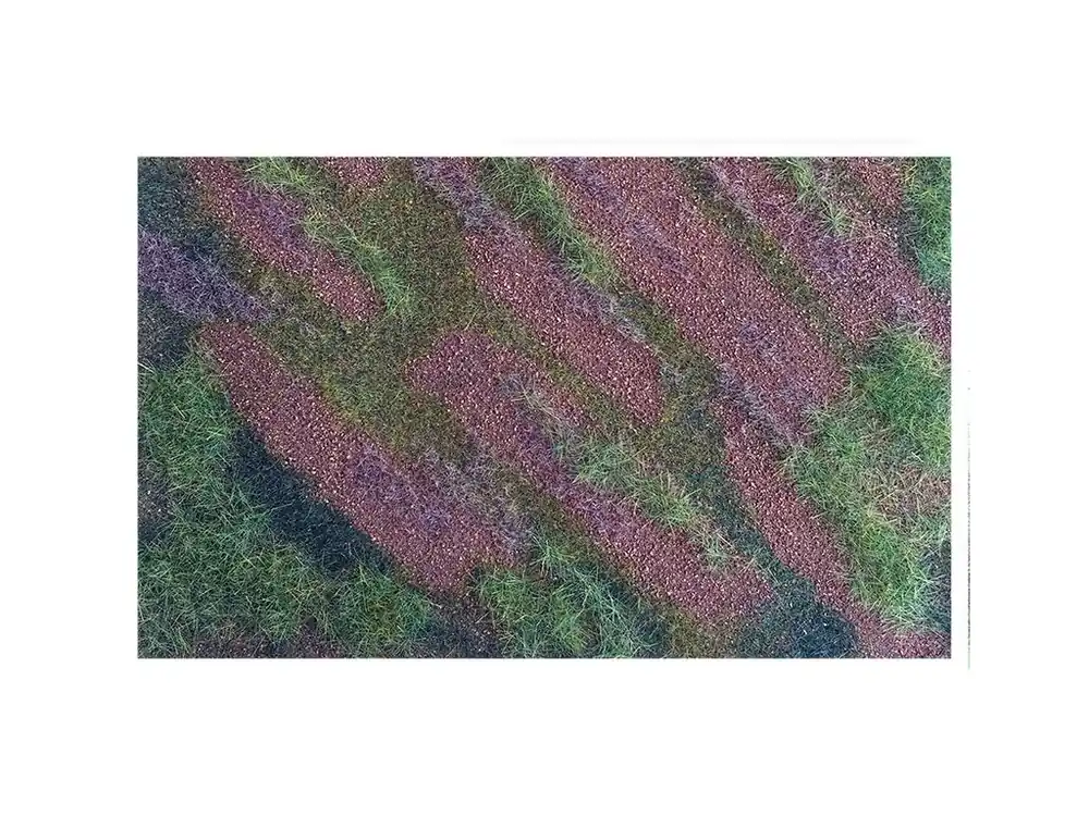 Airfield Spring Nejlepší Cena