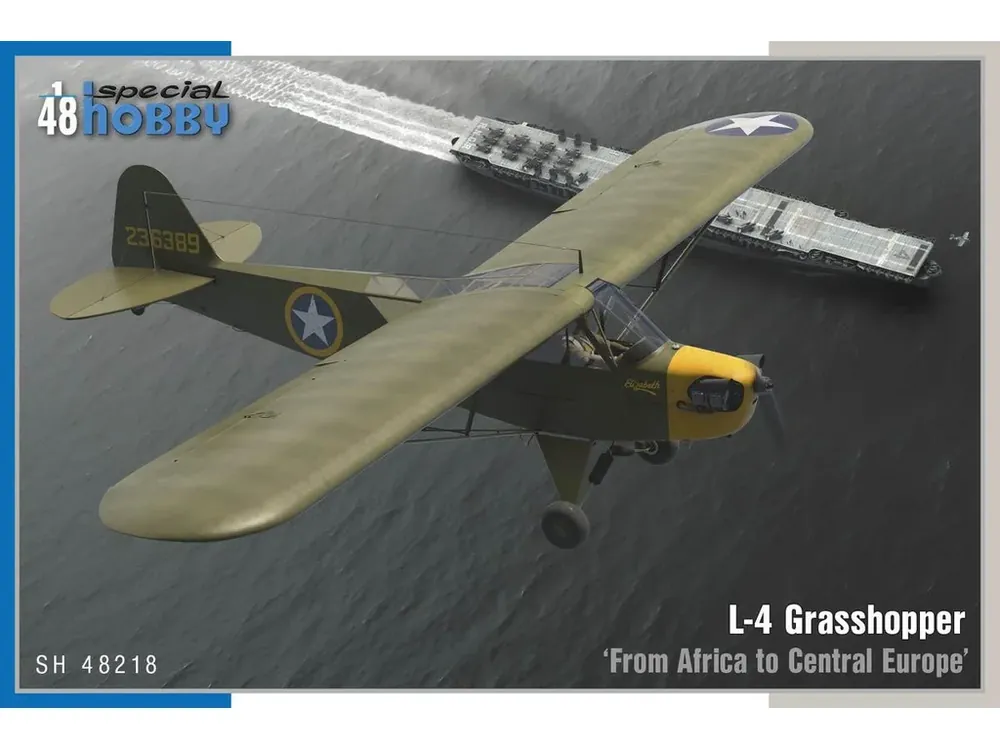 Poslední Šance L-4 Grasshopper From Africa to Central Europe 1/48