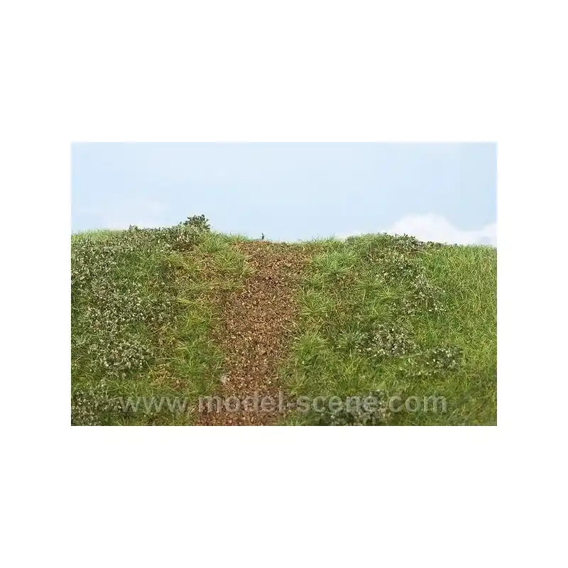 F542 - Náspy, časné léto (travní foliáž z řady Prémium) Časově Omezené