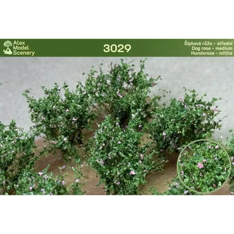 Nakupujte Hned Šípková růže - střední 9 ks (travní foliáž Alex Model Scenery 3029)