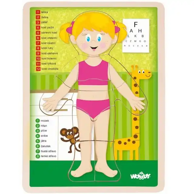 Puzzle výukové - Anatomie, Lidské tělo holka CZ (Woody) Akce