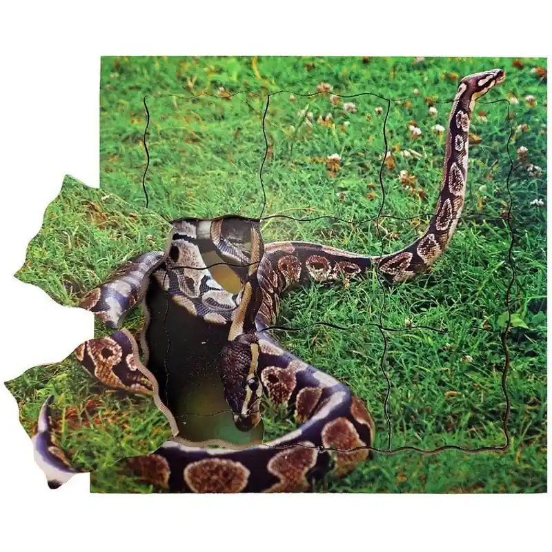 Pouze Dnes Puzzle výukové - Životní cyklus had, 19ks(Just Jiqsaws)