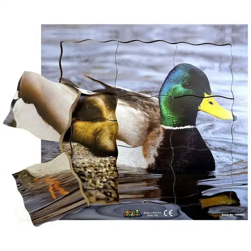 Novinka Puzzle výukové - Životní cyklus kačer, 19ks (Just Jiqsaws)