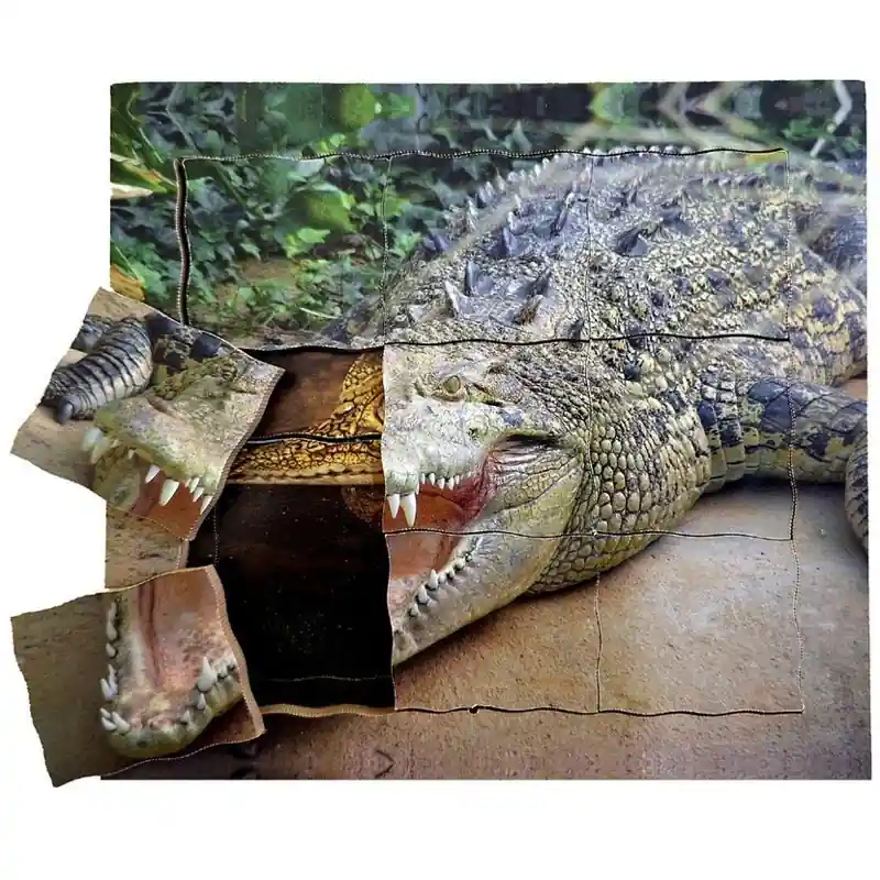 Puzzle výukové - Životní cyklus krokodýl, 19ks (Just Jiqsaws) Autentický