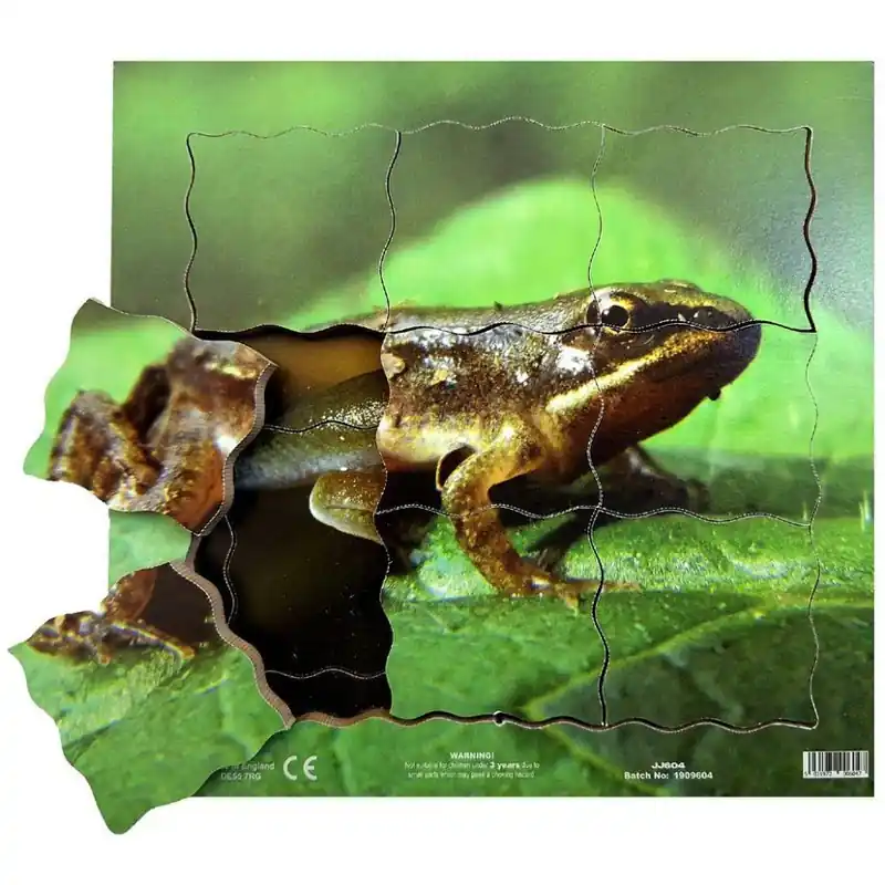 Puzzle výukové - Životní cyklus žába, 19ks (Just Jiqsaws) Vrácení Zdarma