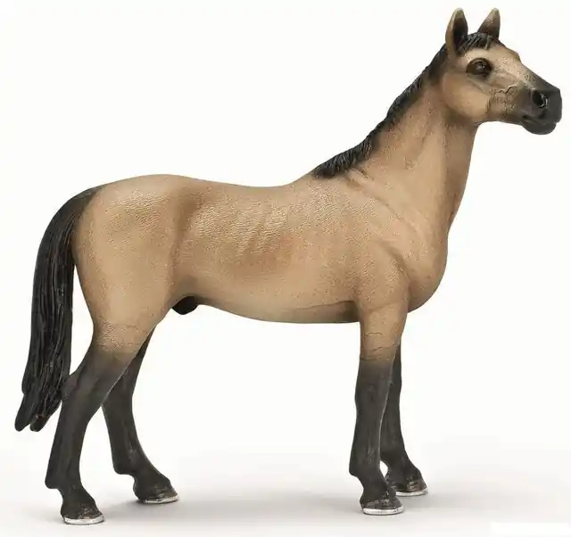 Schleich - Kůň, Achaltekinský hřebec Nakupujte Hned