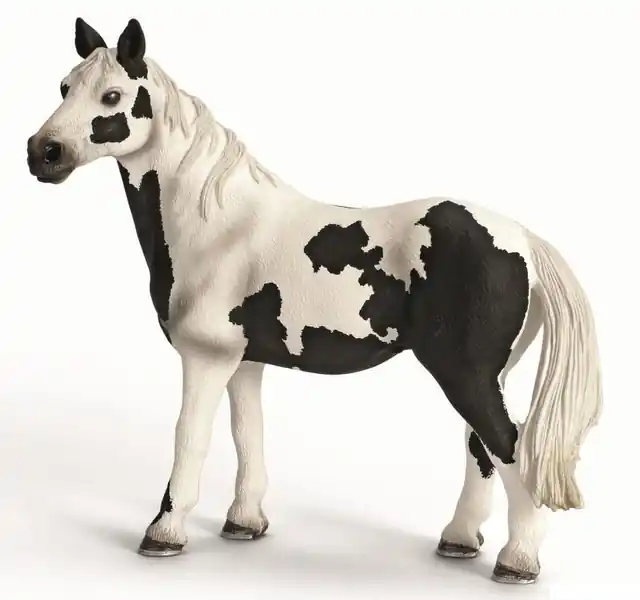 Schleich - Kůň, Pinto klisna Cenová Bomba